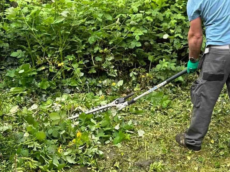 garden clearance Roscommon