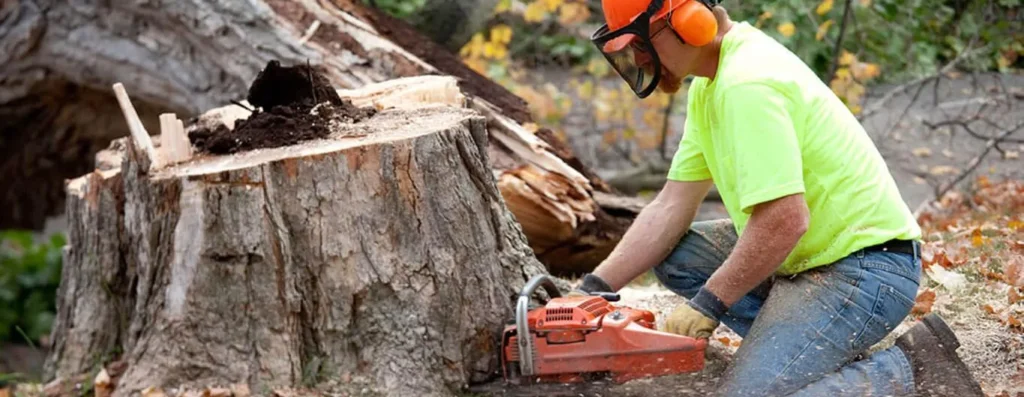garden clearance Roscommon